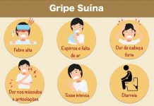 Gripe suína: sintomas, como se prevenir e os tratamentos conhecidos
