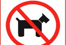 Não é permitido animais nas Colônias de Férias