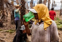 Mudanças nas regras de fiscalização rebaixam patamar civilizatório