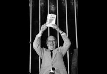 Constituição chega aos 31 anos e garante importantes direitos